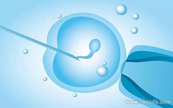 胚胎移植手术后护理