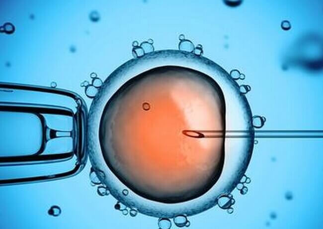 青岛助孕的试管婴儿胚胎移植手术常识有哪些？