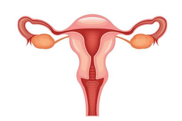 青岛试管婴儿中的多囊卵巢综合征何时可以促排卵？