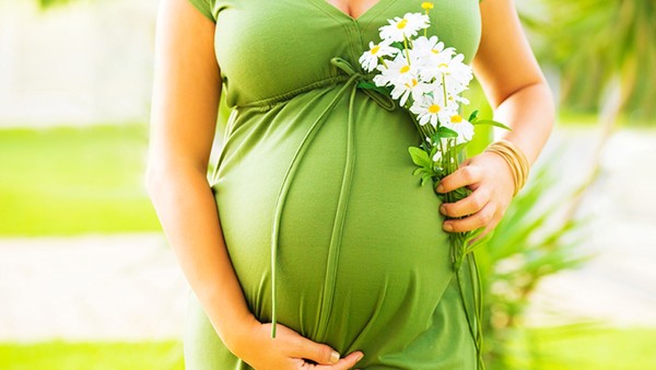 母亲在哺乳期可以服用三七吗？
